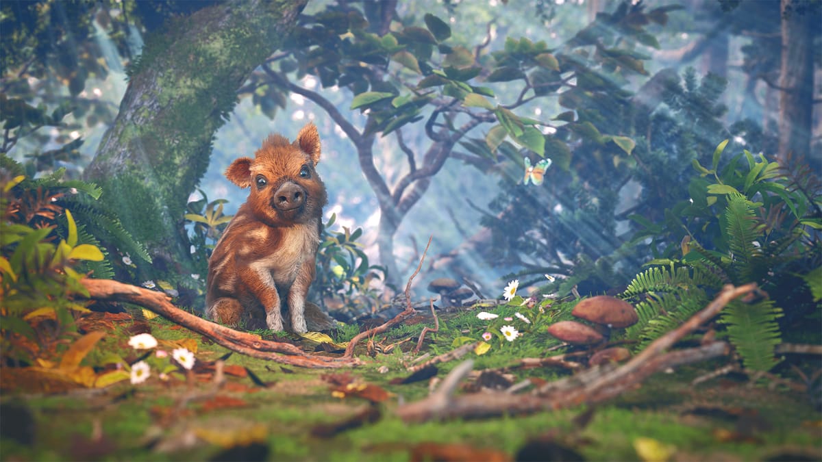 Adorable Adventures